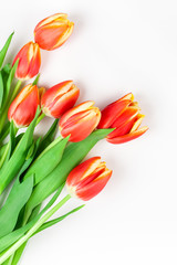 Obraz premium Red tulips flowers on white background