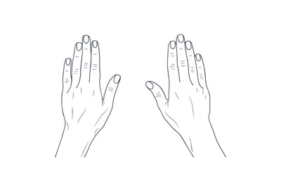 Vector sketch illustration - women's hands.