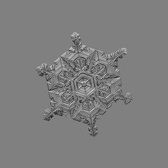 Snowflake isolated on gray background. Macro photo of real snow crystal: elegant star plate with fine hexagonal symmetry, glossy relief surface, large central hexagon and short, ornate arms.