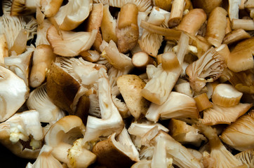 mushrooms cut into pieces and lie in the pan