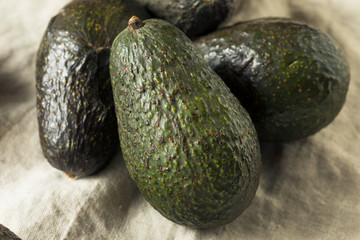 Raw Organic Green Avocados
