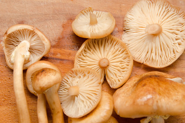 mushrooms cut into pieces and lie on the board