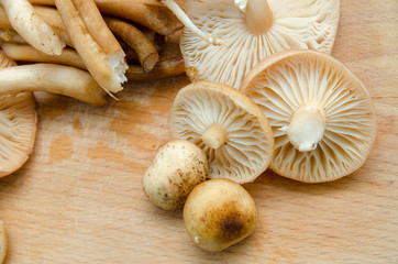 mushrooms cut into pieces and lie on the board