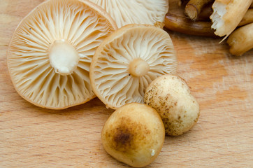 mushrooms cut into pieces and lie on the board