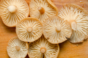 many mushrooms are on the table, a mushroom picker has gathered mushrooms in the forest