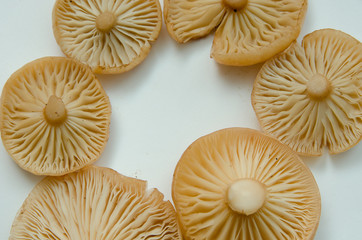 many mushrooms are on the table, a mushroom picker has gathered mushrooms in the forest