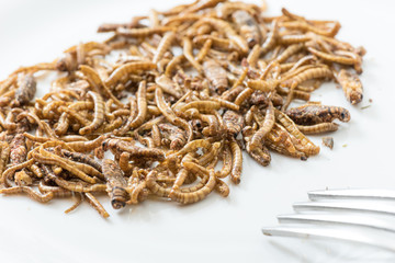 Fried cricket larvae