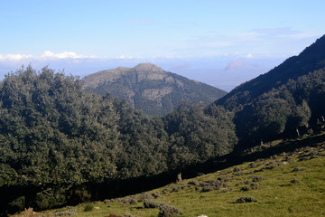 Monte Margiani visto da Punta Santu Miali