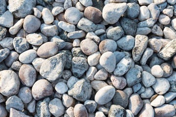 Texture of river stones