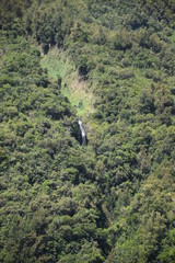 Voile de la mari&eacute;e, la r&eacute;union