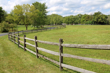 Fototapeta premium fenced in meadow