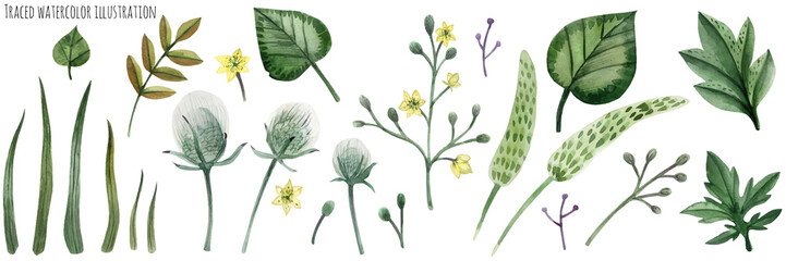 Naklejka premium Set of Forest Plants