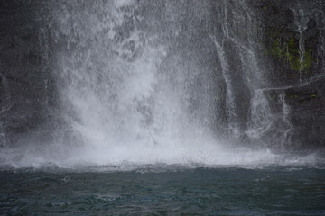 Fototapeta premium Bassin des aigrettes, la réunion