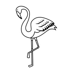 elegant flamingo bird icon