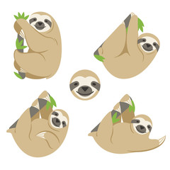 The sloth is hanging on a branch with leaves. A set of four color vector images of different animal poses. Simple flat style, transparent background.