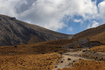 Paisaje del sendero hacia la entrada norte del cráter del Nevado de Toluca previo a la primavera (HDR)