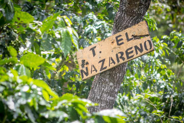 Caf&eacute; El Salvador