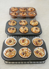 Oat pecan chocolate banana muffins