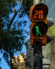Semáforo peatonal en la CDMX
