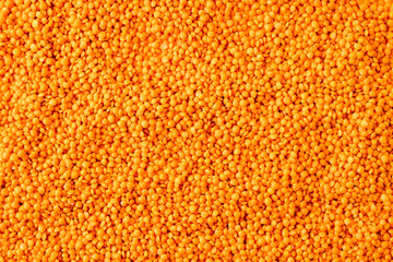 Background with lentils seeds of annual legume plant, they are rich in vegetable protein.