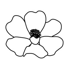 beautiful flower decorative icon