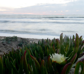 Surfers Knoll beach in Ventura at Sunset