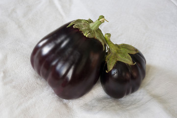 Two rape eggplants are laying on the white background. Autumn vegetables. Delicious and healthy food