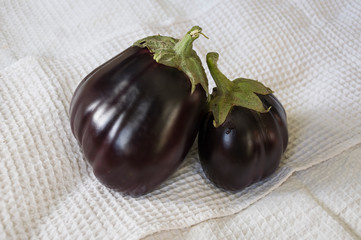 Two rape eggplants are laying on the white background. Autumn vegetables. Delicious and healthy food