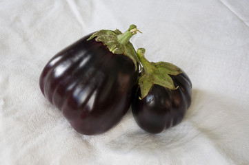 Two rape eggplants are laying on the white background. Autumn vegetables. Delicious and healthy food