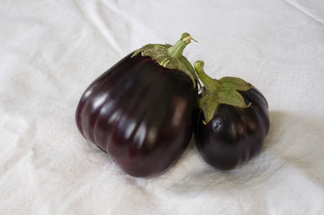 Two rape eggplants are laying on the white background. Autumn vegetables. Delicious and healthy food