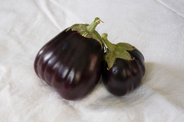 Two rape eggplants are laying on the white background. Autumn vegetables. Delicious and healthy food