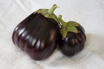 Two rape eggplants are laying on the white background. Autumn vegetables. Delicious and healthy food