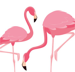 Fototapeta premium elegant flamingo birds couple