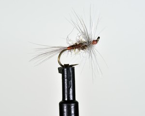 Woolly Blue winged Olive imitation