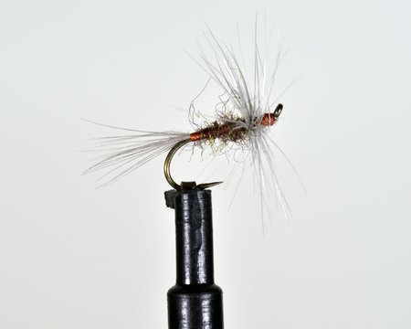 Woolly Blue winged Olive imitation