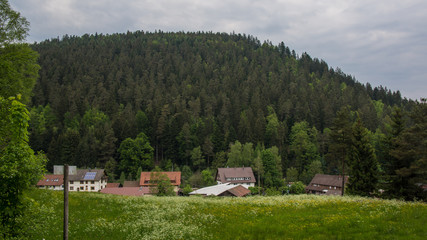 country houses in front of forest