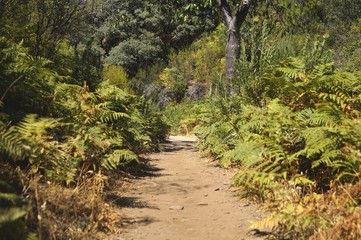 nature