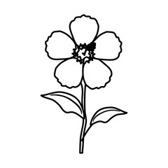 beautiful flower decorative icon