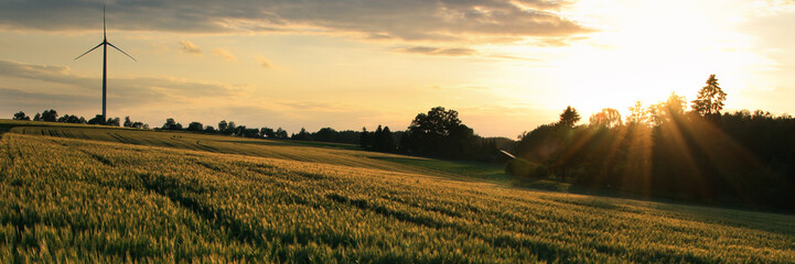 Panorama of a field at golden hour with wind turbine, trees, clouds and sun