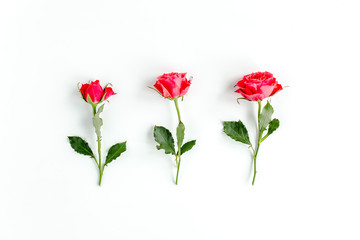 Red roses on white background. Minimal spring floral pattern. Flat lay, top view. 