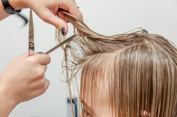 Hairdresser is cutting blond hair in hair salon. Trimming processes at the hair salon