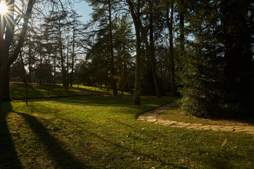 Chemin au crépuscule