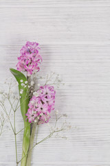 Abstract composition of fresh purple hyacinths on a white rustic wooden background. Pattern of different flowers