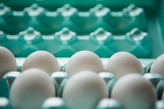 Eggs 