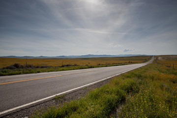 Vast Road