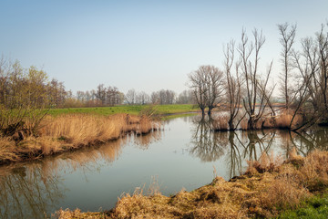 Trees and branches reflected in the mirror smooth water surface of a creek in the Dutch National Park Biesbosch, Werkendam, North Brabant.