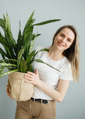 Beautiful young woman holding potted plant Sansevieria and smiling at camera isolated on grey background.