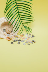 Summer holiday background. Tropical summer concept with woman fashion accessories, leaves and seashells on yellow background. Flat lay, top view