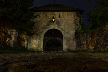 Fototapeta na wymiar gate in castle