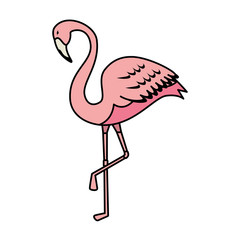 elegant flamingo bird icon